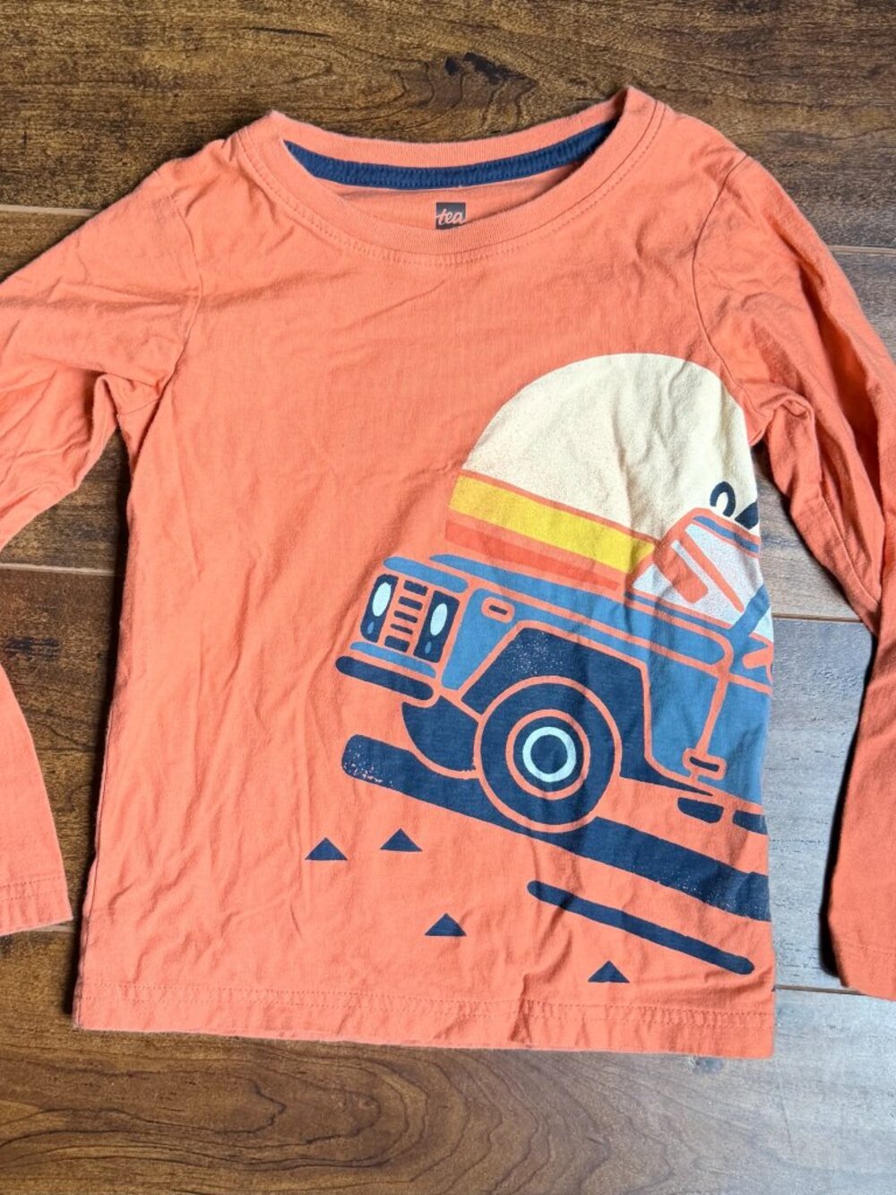 Tea Collection Roadtrip Long Sleeve Graphic Tee :: Desert Spice